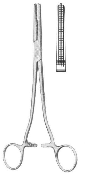 Svorka atraumatická Rogers, rovná, 210 mm